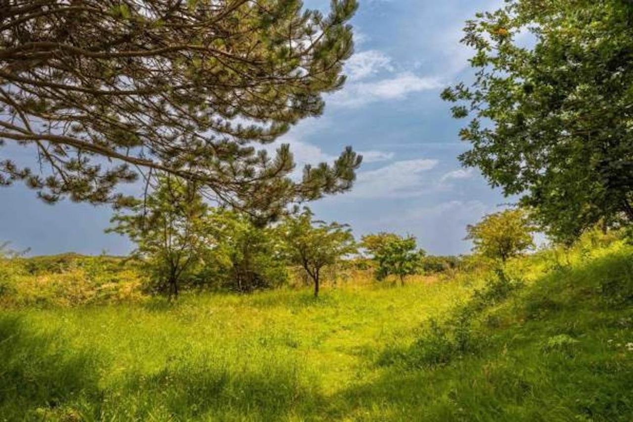 Villa De Rosa Bergen aan Zee Bagian luar foto